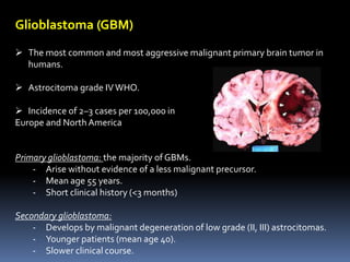 Glioblastoma (GBM)
 The most common and most aggressive malignant primary brain tumor in
humans.
 Astrocitoma grade IVWHO.
 Incidence of 2–3 cases per 100,000 in
Europe and North America
Primary glioblastoma: the majority of GBMs.
- Arise without evidence of a less malignant precursor.
- Mean age 55 years.
- Short clinical history (<3 months)
Secondary glioblastoma:
- Develops by malignant degeneration of low grade (II, III) astrocitomas.
- Younger patients (mean age 40).
- Slower clinical course.
 
