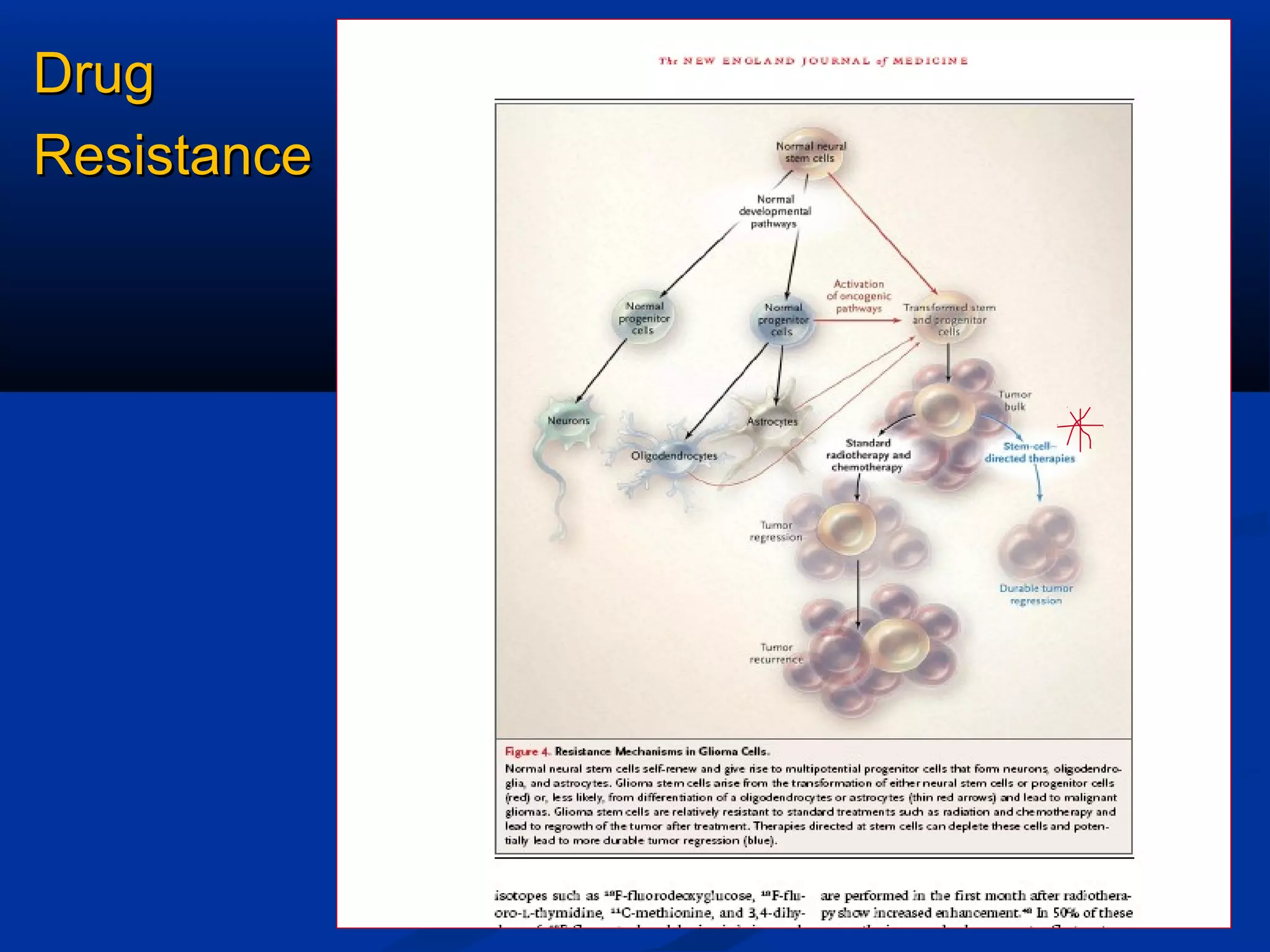Drug
Resistance




             42
 