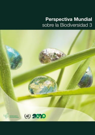 Perspectiva Mundial
sobre la Biodiversidad 3
 