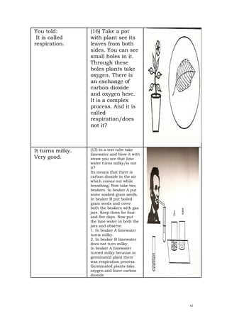 You told:         (16) Take a pot
 It is called     with plant see its
respiration.      leaves from both
                  sides. You can see
                  small holes in it.
                  Through these
                  holes plants take
                  oxygen. There is
                  an exchange of
                  carbon dioxide
                  and oxygen here.
                  It is a complex
                  process. And it is
                  called
                  respiration/does
                  not it?



It turns milky.   (17) In a test tube take
                  limewater and blow it with
Very good.        straw you see that lime
                  water turns milky/is not
                  it?
                  Its means that there is
                  carbon dioxide in the air
                  which comes out while
                  breathing, Now take two
                  beakers. In beaker A put
                  some soaked gram seeds.
                  In beaker B put boiled
                  gram seeds and cover
                  both the beakers with gas
                  jars. Keep them for four
                  and five days. Now put
                  the lime water in both the
                  jars and observe.
                  1. In beaker A limewater
                  turns milky.
                  2. In beaker B limewater
                  does not turn milky.
                  In beaker A limewater
                  turned milky because in
                  germinated plant there
                  was respiration process.
                  Germinated plants take
                  oxygen and leave carbon
                  dioxide.




                                               xi
 