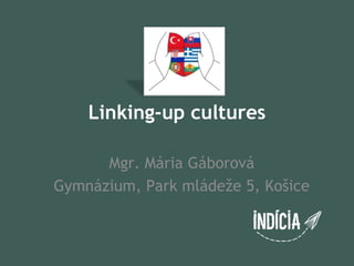 Linking-up cultures

      Mgr. Mária Gáborová
Gymnázium, Park mládeže 5, Košice
 
