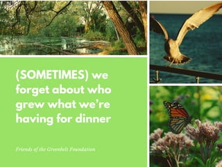 (SOMETIMES) we
forget about who
grew what we’re
having for dinner
Friends of the Greenbelt Foundation
 