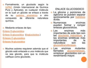  Formalmente, un glucósido según la
IUPAC (Unión Internacional de Química
Pura y Aplicada), es cualquier molécula
en la cual un glúcido se enlaza a través
de su carbono anomérico a otro
compuesto de diferente naturaleza
química.
 Mediante enlaces de tipo:
Enlace O-glucosídico
Enlace S-glucosídico (tioglucósidos.)
Enlaces C-glucosidico
Enlaces N-glucosidico
 Muchos autores requieren además que el
glúcido esté enlazado a una molécula que
no sea glúcido, para que la molécula
califique como glucósido.
ENLACE GLUCOSIDICO
 La glicona y porciones de
aglicona se pueden separar
químicamente por hidrólisis
ácida.
 Numerosas enzimas
pueden formar y romper
enlaces glucosídicos.
 Las enzimas más
importantes de este tipo son
las glucósido hidrolasas, y
las enzimas sintéticas más
importantes de la
naturaleza son las
glucosiltransferasas.
 Las enzimas mutantes
llamadas glucosintetasas,
sintetizan glucósidos con un
rendimiento mayor.
 