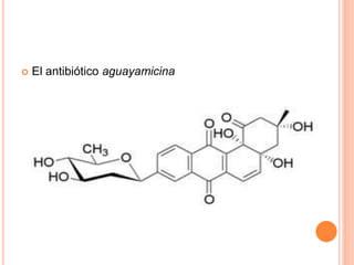  El antibiótico aguayamicina
 