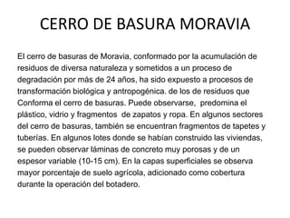 CERRO DE BASURA MORAVIA
El cerro de basuras de Moravia, conformado por la acumulación de
residuos de diversa naturaleza y sometidos a un proceso de
degradación por más de 24 años, ha sido expuesto a procesos de
transformación biológica y antropogénica. de los de residuos que
Conforma el cerro de basuras. Puede observarse, predomina el
plástico, vidrio y fragmentos de zapatos y ropa. En algunos sectores
del cerro de basuras, también se encuentran fragmentos de tapetes y
tuberías. En algunos lotes donde se habían construido las viviendas,
se pueden observar láminas de concreto muy porosas y de un
espesor variable (10-15 cm). En la capas superficiales se observa
mayor porcentaje de suelo agrícola, adicionado como cobertura
durante la operación del botadero.
 