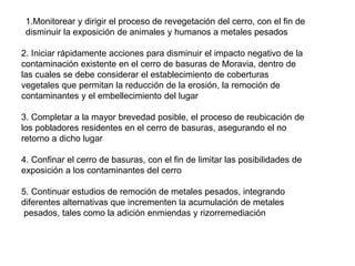 1.Monitorear y dirigir el proceso de revegetación del cerro, con el fin de
disminuir la exposición de animales y humanos a metales pesados
2. Iniciar rápidamente acciones para disminuir el impacto negativo de la
contaminación existente en el cerro de basuras de Moravia, dentro de
las cuales se debe considerar el establecimiento de coberturas
vegetales que permitan la reducción de la erosión, la remoción de
contaminantes y el embellecimiento del lugar
3. Completar a la mayor brevedad posible, el proceso de reubicación de
los pobladores residentes en el cerro de basuras, asegurando el no
retorno a dicho lugar
4. Confinar el cerro de basuras, con el fin de limitar las posibilidades de
exposición a los contaminantes del cerro
5. Continuar estudios de remoción de metales pesados, integrando
diferentes alternativas que incrementen la acumulación de metales
pesados, tales como la adición enmiendas y rizorremediación
 