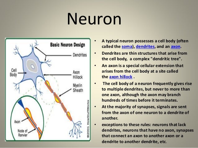 Guillein Barre Syndrome