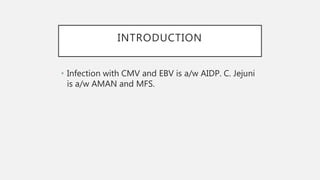 INTRODUCTION
• Infection with CMV and EBV is a/w AIDP. C. Jejuni
is a/w AMAN and MFS.
 