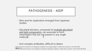 PATHOGENESIS - AIDP
• New area for exploration emerged from Japanese
studies.
• Glycolipid domains, composed of multiple glycolipid
and lipid components, can associate to form
neoantigens that are not present in any single
molecule.
• Anti-complex antibodies, difficult to detect.
• Kaida K, Morita D, Kanzaki M, et al. Ganglioside complexes as new target antigens in Guillain-Barre syndrome. Ann Neurol 2004;
56: 567–71.
• Rinaldi S, Brennan KM, Kalna G, et al. Antibodies to heteromeric glycolipid complexes in Guillain-Barre syndrome. PLoS One 2013; 8: e82337.
 
