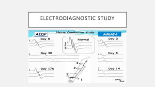 ELECTRODIAGNOSTIC STUDY
 