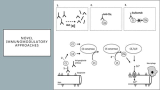 NOVEL
IMMUNOMODULATORY
APPROACHES
 
