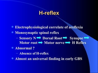 H-reflex Electrophysiological correlate of areflexia Monosynaptic spinal reflex Sensory N  Dorsal Root  Synapse Motor root  Motor nerve  H Reflex Abnormal ?  Absence of H-reflex Almost an universal finding in early GBS 