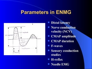 Parameters in ENMG Distal latency Nerve conduction velocity (NCV) CMAP amplitude CMAP duration F-waves Sensory conduction studies H-reflex Needle EMG 