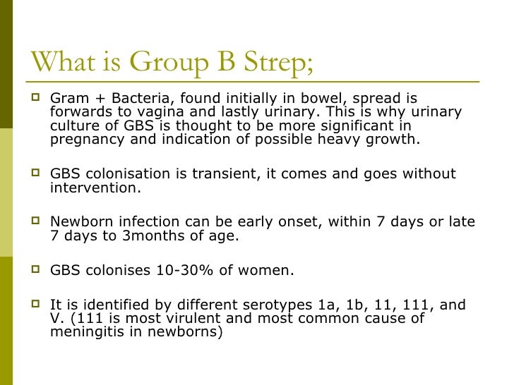 Group B Strep Urine 31