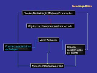 Objetivo  obtener la muestra adecuada
Conocer características
del huésped
Medio Ambiente
Objetivo Bacteriología Médica = Dx específico
Conocer
características
del agente
Materias relacionadas c/ BM
 