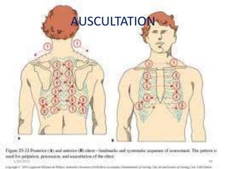 AUSCULTATION
1/30/2015 48
 