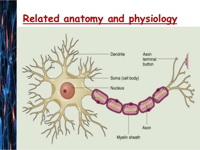 Guillain Barre Syndrome