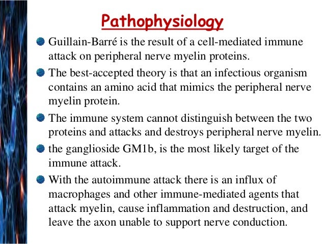 Pathophysiology Of Guillain Barre Syndrome In Flow Chart