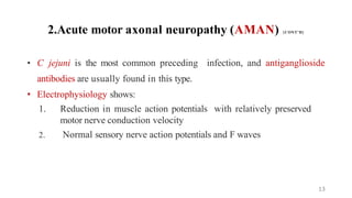 2.Acute motor axonal neuropathy (AMAN) {CONT’D}
• C jejuni is the most common preceding infection, and antiganglioside
antibodies are usually found in this type.
• Electrophysiology shows:
1. Reduction in muscle action potentials with relatively preserved
motor nerve conduction velocity
2. Normal sensory nerve action potentials and F waves
13
 