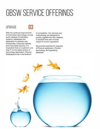 Our Solutions and Services offerings 