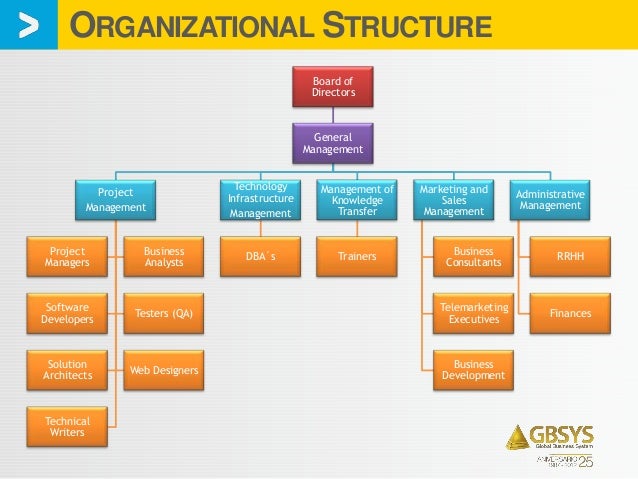 S Corporation Organizational Chart