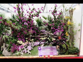 Gb ts march-fleurs-orchid-es