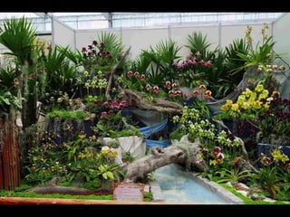 Gb ts march-fleurs-orchid-es