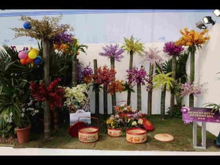 Gb ts march-fleurs-orchid-es