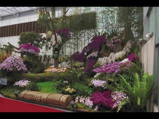 Gb ts march-fleurs-orchid-es