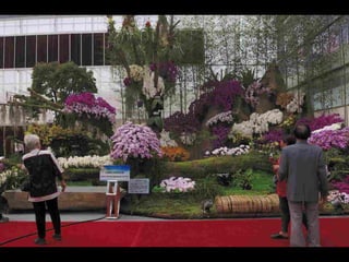 Gb ts march-fleurs-orchid-es