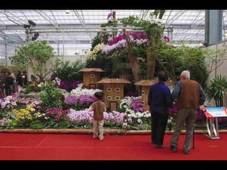 Gb ts march-fleurs-orchid-es