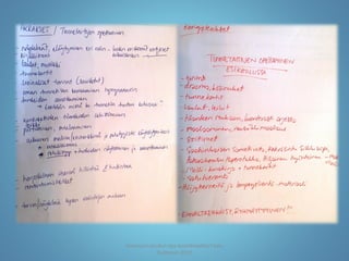 Joensuun seudun ops-koordinaattori Satu
Huttunen 2015
 