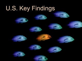 U.S. Key Findings
 