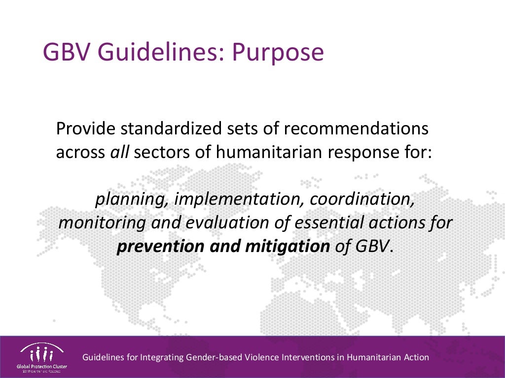 gbv-guidelines-regional-workshop-overview-for-webinar