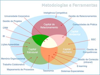 Inteligência Competitiva
   Universidade Corporativa                                        Gestão de Relacionamentos

 Gestão de Projetos
                                         Capital de                   Comunidades de Prática
 CRM                                  Relacionamento
                                                                    Capital
                                                                   Ambiental
 BI
                                                                                       BSC

Lições Aprendidas

                          Capital                          Capital                Gestão de
                         Estrutural                        Humano              Competências

Memória Organizacional                                                     Gestão de Conteúdo
                                                                                (intranet)
 Trabalho Colaborativo
                                                                          E-learning
      Mapeamento de Processos
                                        Taxonomia        Sistemas Especialistas
 