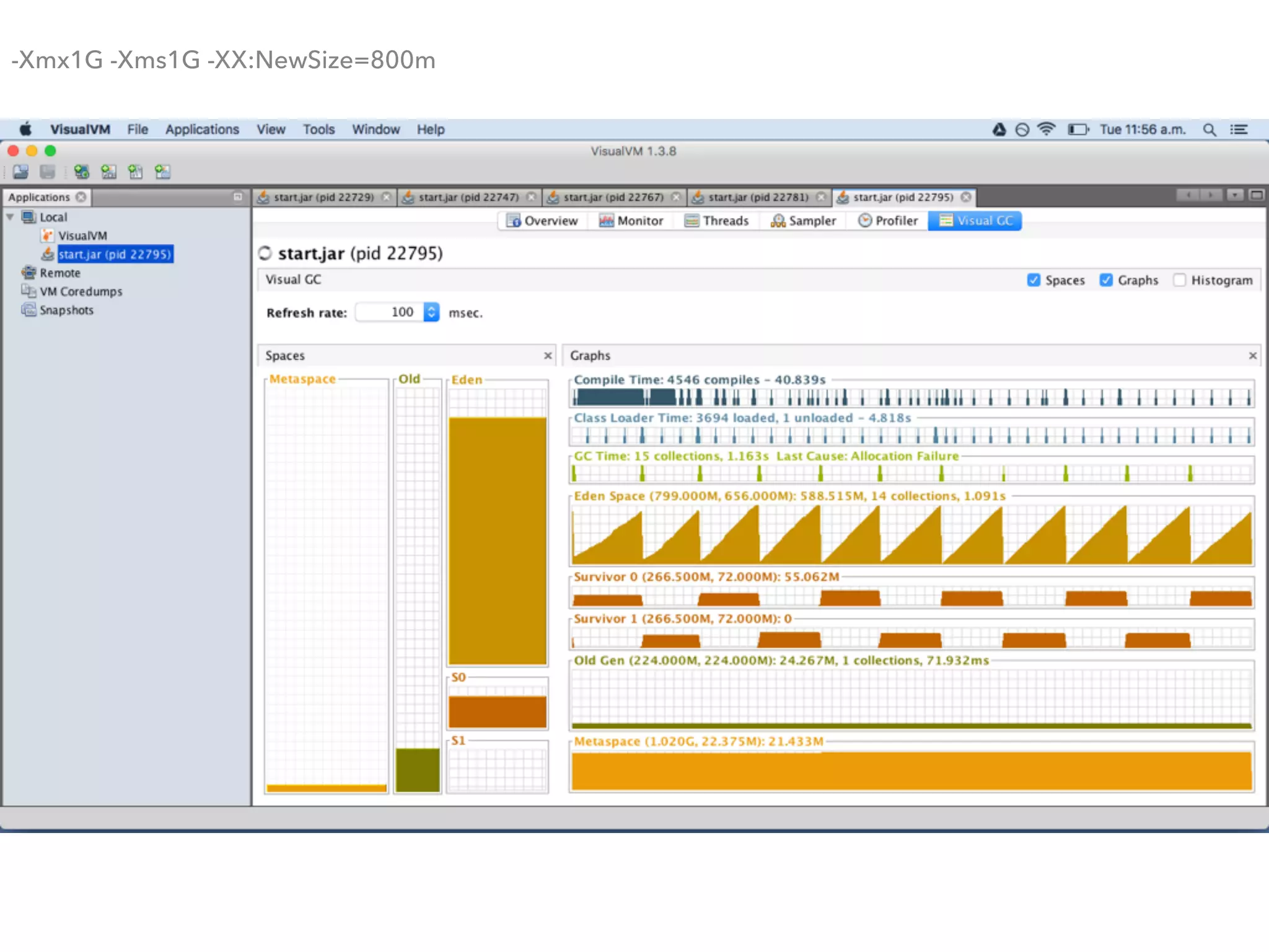 -Xmx1G -Xms1G -XX:NewSize=800m
 