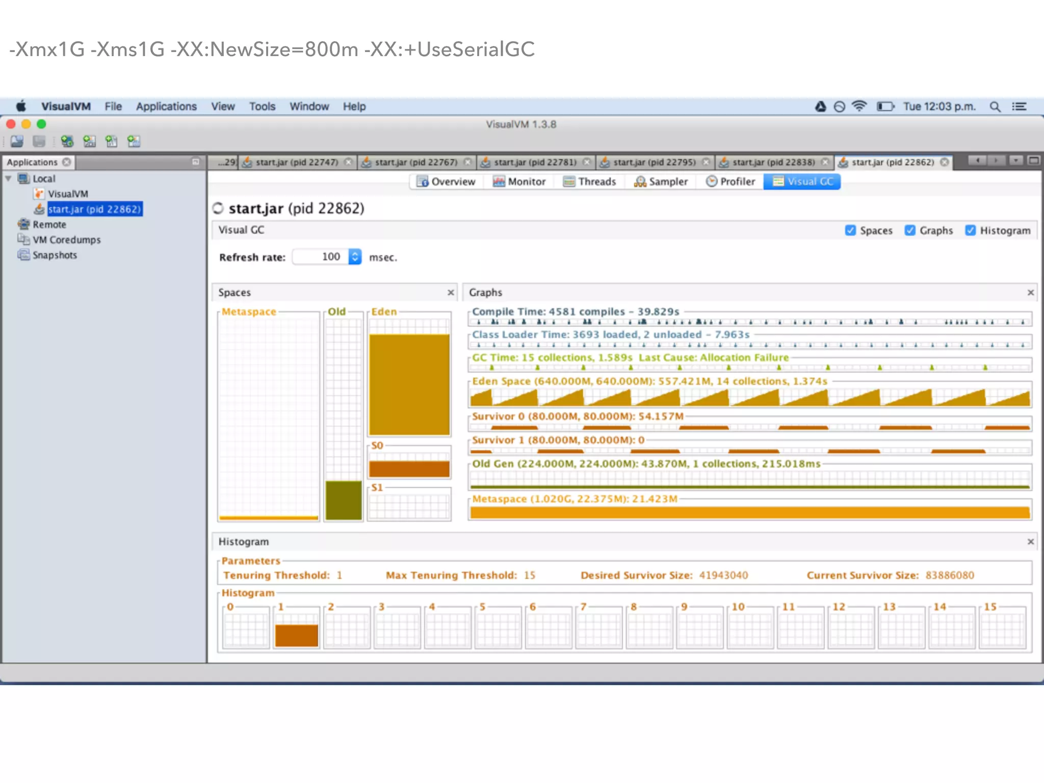 -Xmx1G -Xms1G -XX:NewSize=800m -XX:+UseSerialGC
 