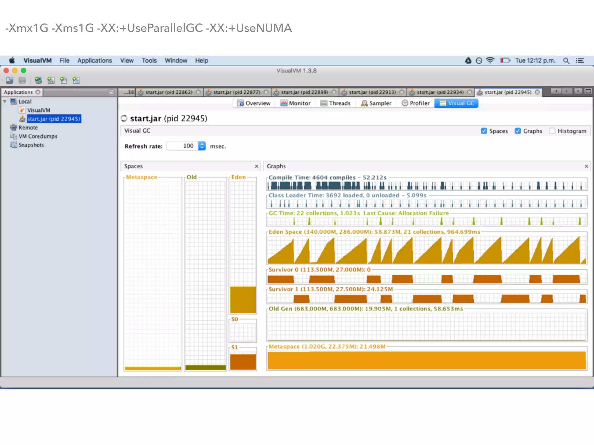 -Xmx1G -Xms1G -XX:+UseParallelGC -XX:+UseNUMA
 