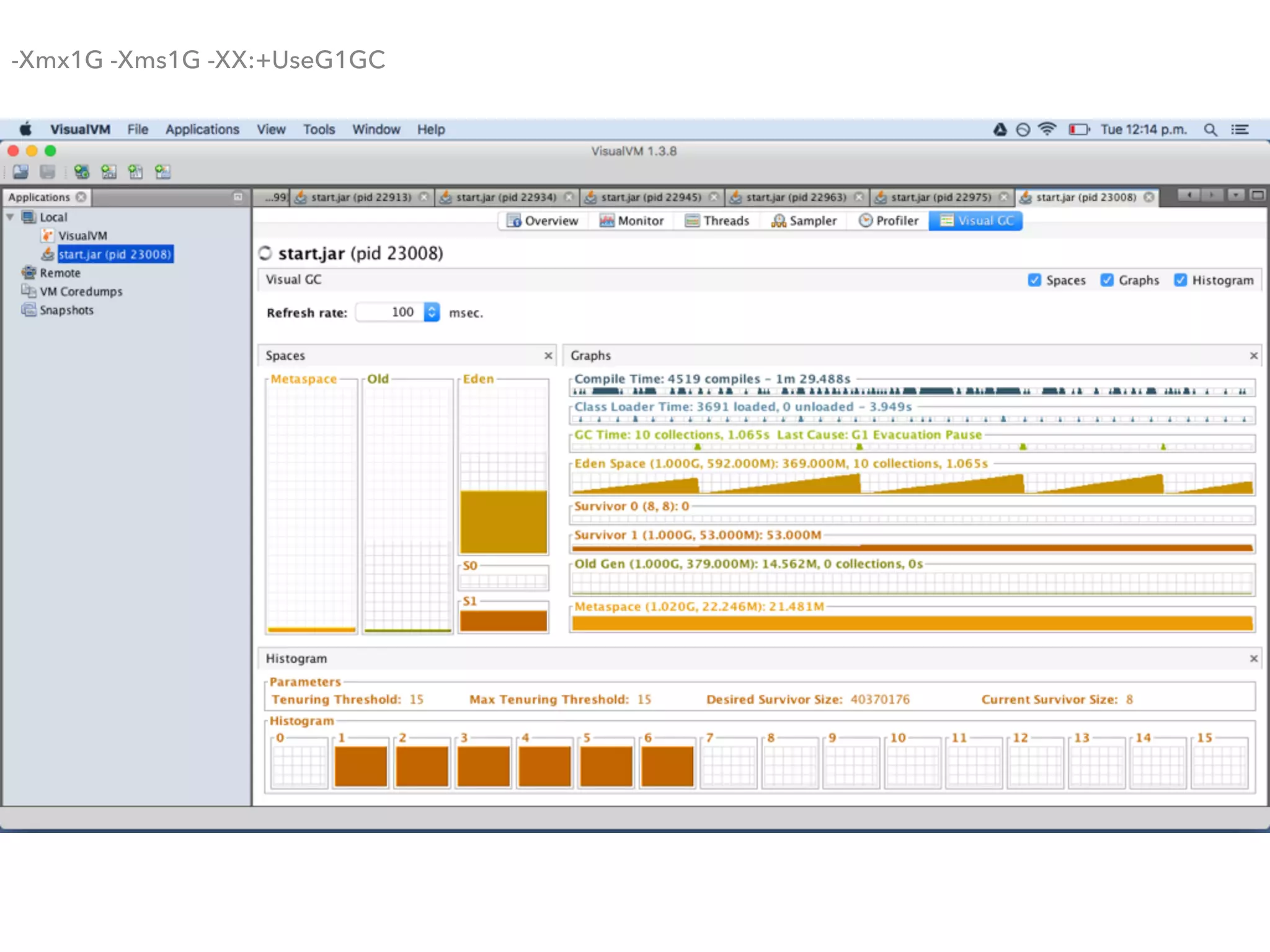 -Xmx1G -Xms1G -XX:+UseG1GC
 