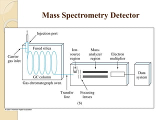 Mass Spectrometry Detector
 