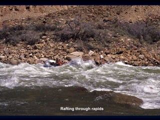 Rafting through rapids
 