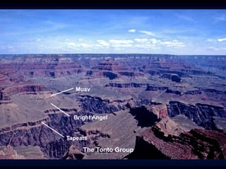 Muav
Bright Angel
Tapeats
The Tonto Group
 