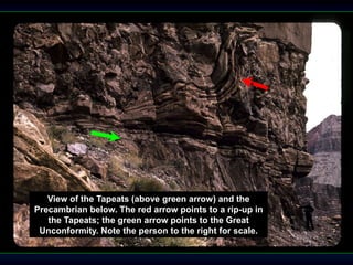 View of the Tapeats (above green arrow) and the
Precambrian below. The red arrow points to a rip-up in
the Tapeats; the green arrow points to the Great
Unconformity. Note the person to the right for scale.
 
