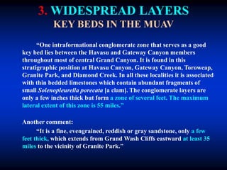 3. WIDESPREAD LAYERS
KEY BEDS IN THE MUAV
“One intraformational conglomerate zone that serves as a good
key bed lies between the Havasu and Gateway Canyon members
throughout most of central Grand Canyon. It is found in this
stratigraphic position at Havasu Canyon, Gateway Canyon, Toroweap,
Granite Park, and Diamond Creek. In all these localities it is associated
with thin bedded limestones which contain abundant fragments of
small Solenopleurella porecata [a clam]. The conglomerate layers are
only a few inches thick but form a zone of several feet. The maximum
lateral extent of this zone is 55 miles.”
Another comment:
“It is a fine, evengrained, reddish or gray sandstone, only a few
feet thick, which extends from Grand Wash Cliffs eastward at least 35
miles to the vicinity of Granite Park.”
 