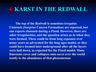 4. KARST IN THE REDWALL
The top of the Redwall is sometines irregular.
Channels (Surprise Canyon Formation) are reported, but
one expects channels during a Flood. However, there are
other irregularities, and the question arises as to when they
were formed. These could be from long exposure over
many years as advocated for the long ages model, or they
could have formed later underground after all the layers
were laid down, as expected for the Flood model. Many
limestone caves and collapses onto caves over the world
testify to the abundance of that phenomenon.
 