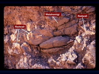 Redwall
Redwall
Watahomigi
 