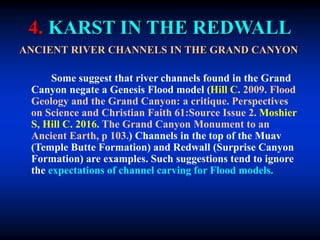 4. KARST IN THE REDWALL
ANCIENT RIVER CHANNELS IN THE GRAND CANYON
Some suggest that river channels found in the Grand
Canyon negate a Genesis Flood model (Hill C. 2009. Flood
Geology and the Grand Canyon: a critique. Perspectives
on Science and Christian Faith 61:Source Issue 2. Moshier
S, Hill C. 2016. The Grand Canyon Monument to an
Ancient Earth, p 103.) Channels in the top of the Muav
(Temple Butte Formation) and Redwall (Surprise Canyon
Formation) are examples. Such suggestions tend to ignore
the expectations of channel carving for Flood models.
 