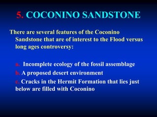 5. COCONINO SANDSTONE
There are several features of the Coconino
Sandstone that are of interest to the Flood versus
long ages controversy:
a. Incomplete ecology of the fossil assemblage
b. A proposed desert environment
c. Cracks in the Hermit Formation that lies just
below are filled with Coconino
 