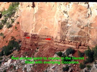 Red arrows point to cracks in the Hermit
filled with overlying Coconino
 