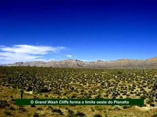 O Grand Wash Cliffs forma o limite oeste do Planalto
 